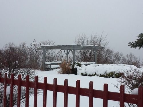 Captain'S Inn Point Lookout Durham Dış mekan fotoğraf